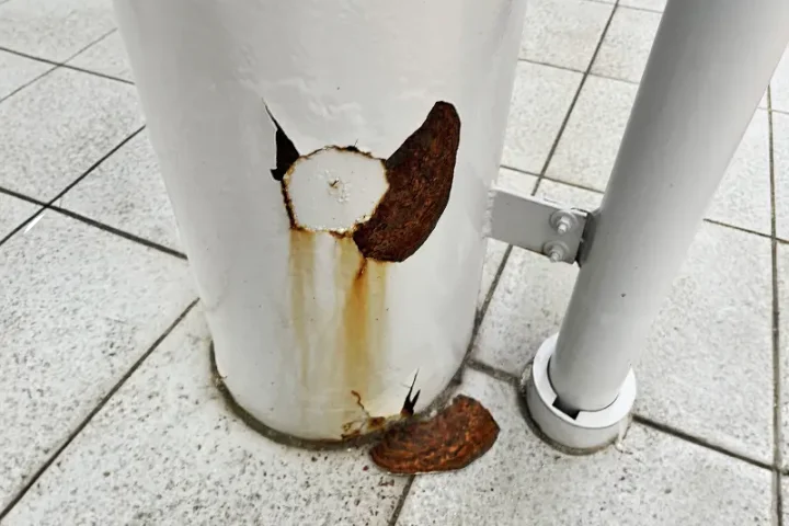 塗装が剥がれる本当の原因